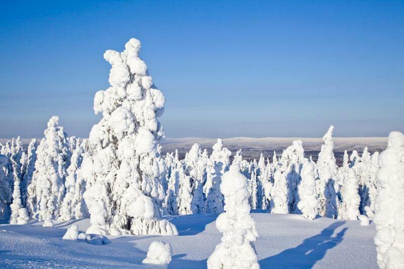 Rovavisit Apartments Siljo Rovaniemi Zewnętrze zdjęcie